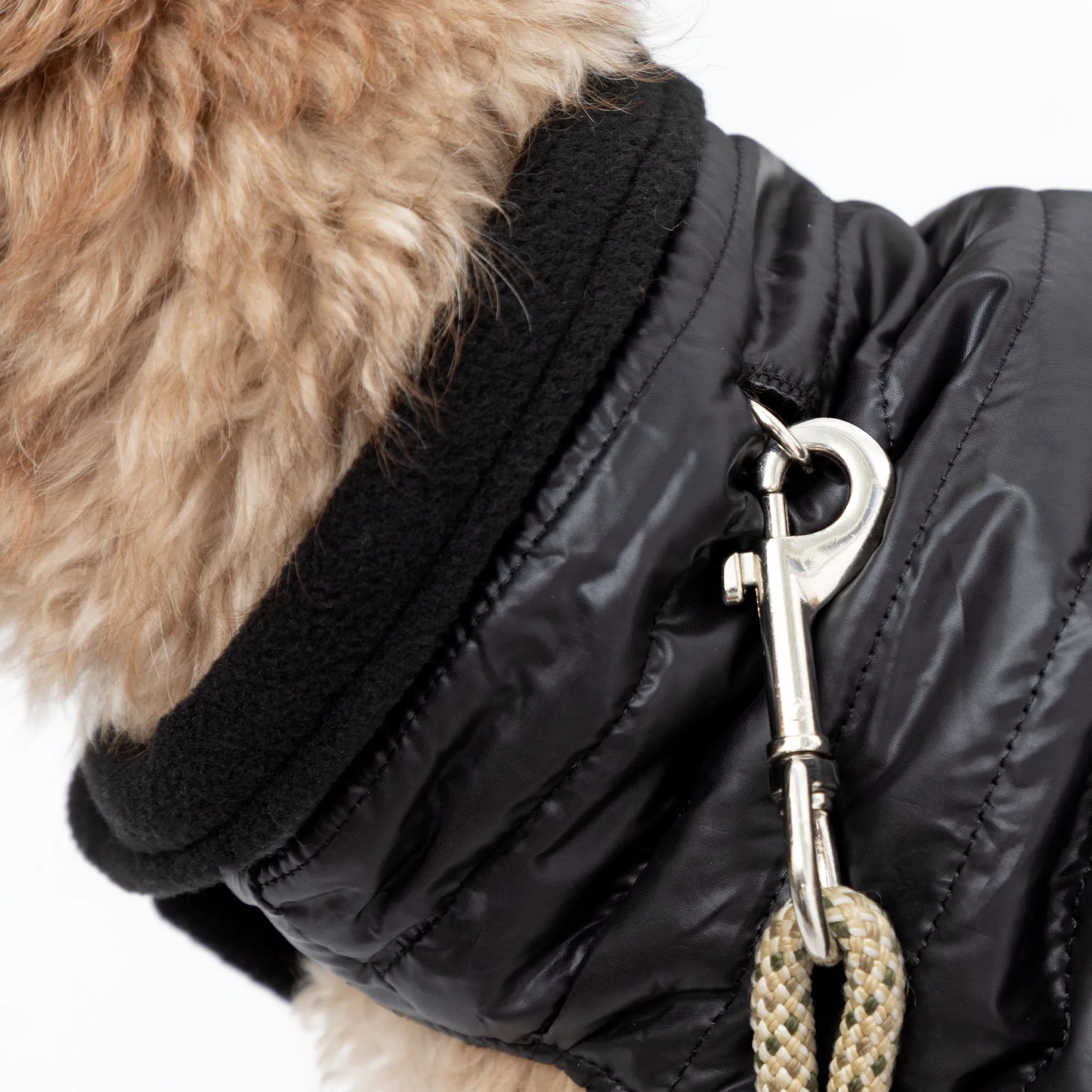 AKC Belly Band Dog Puff Coat