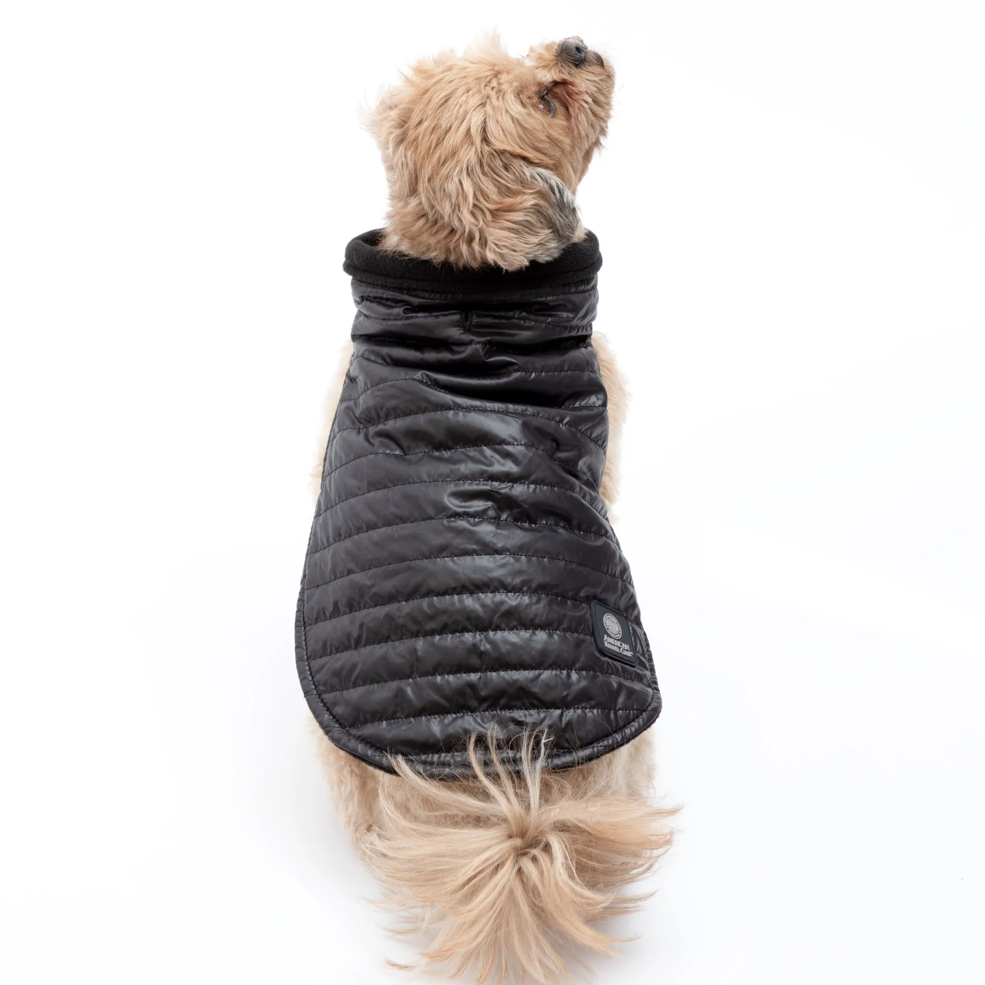 AKC Belly Band Dog Puff Coat