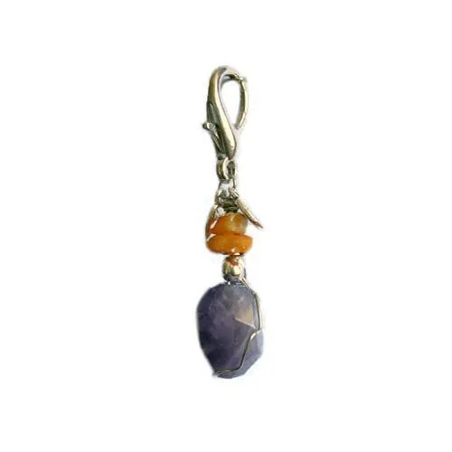 Amber And Amethyst Healing Dog Collar Charm Pawmulet