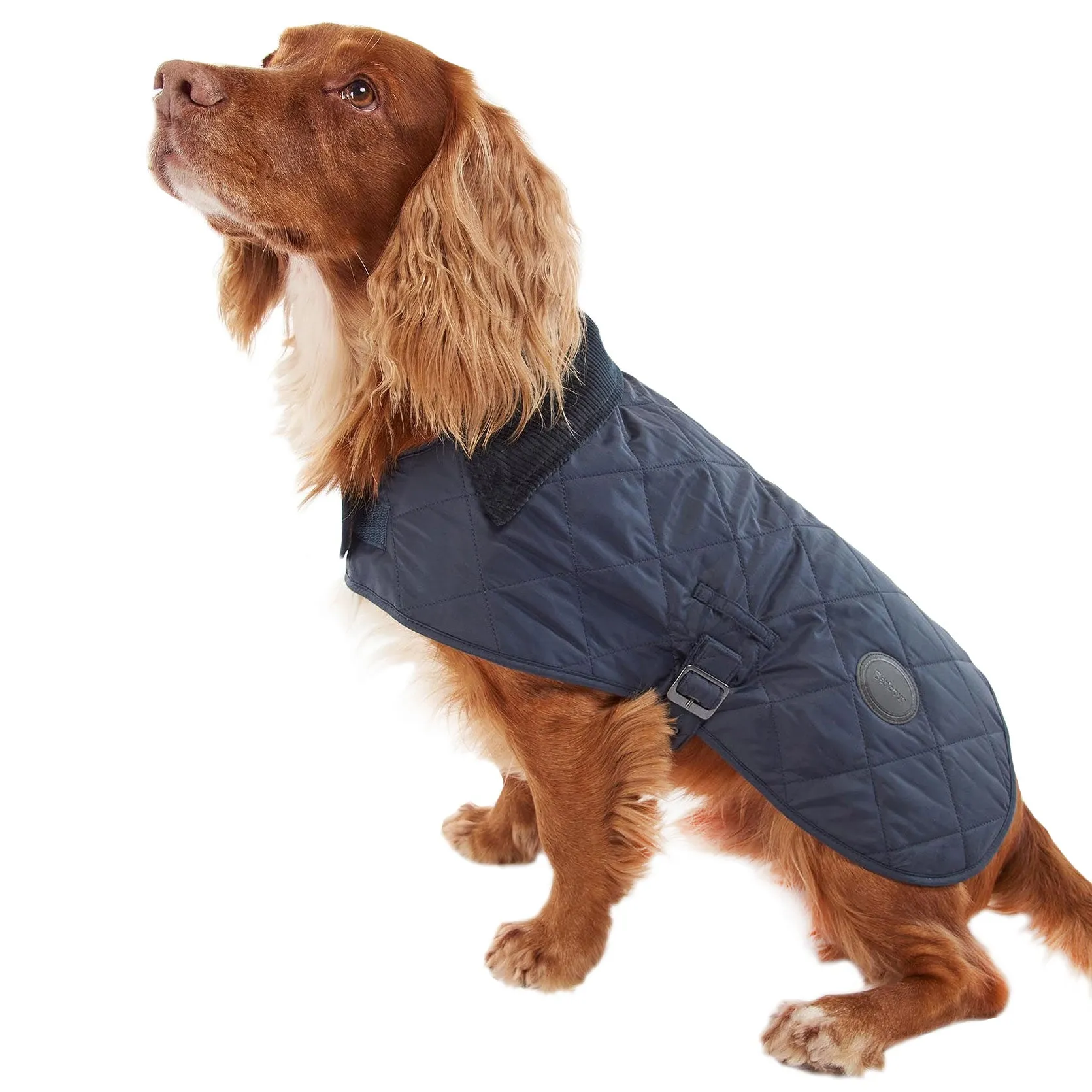 Barbour Quilted Dog Coat