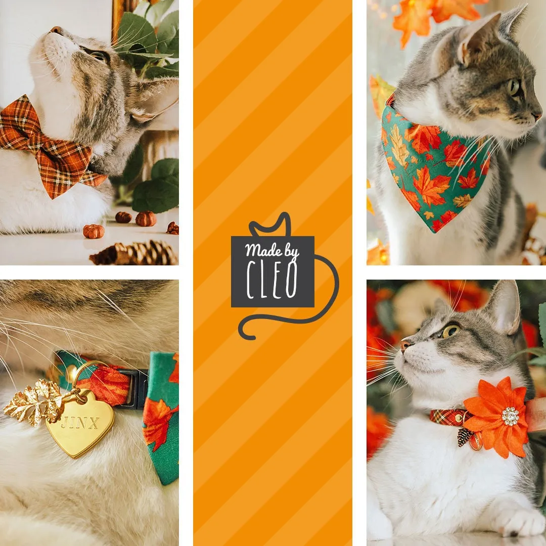 Pet Bandana - "Gourd Times" - Pumpkin Bandana for Cat   Small Dog / Fall, Thanksgiving, Harvest / Slide-on Bandana / Over-the-Collar (One Size)