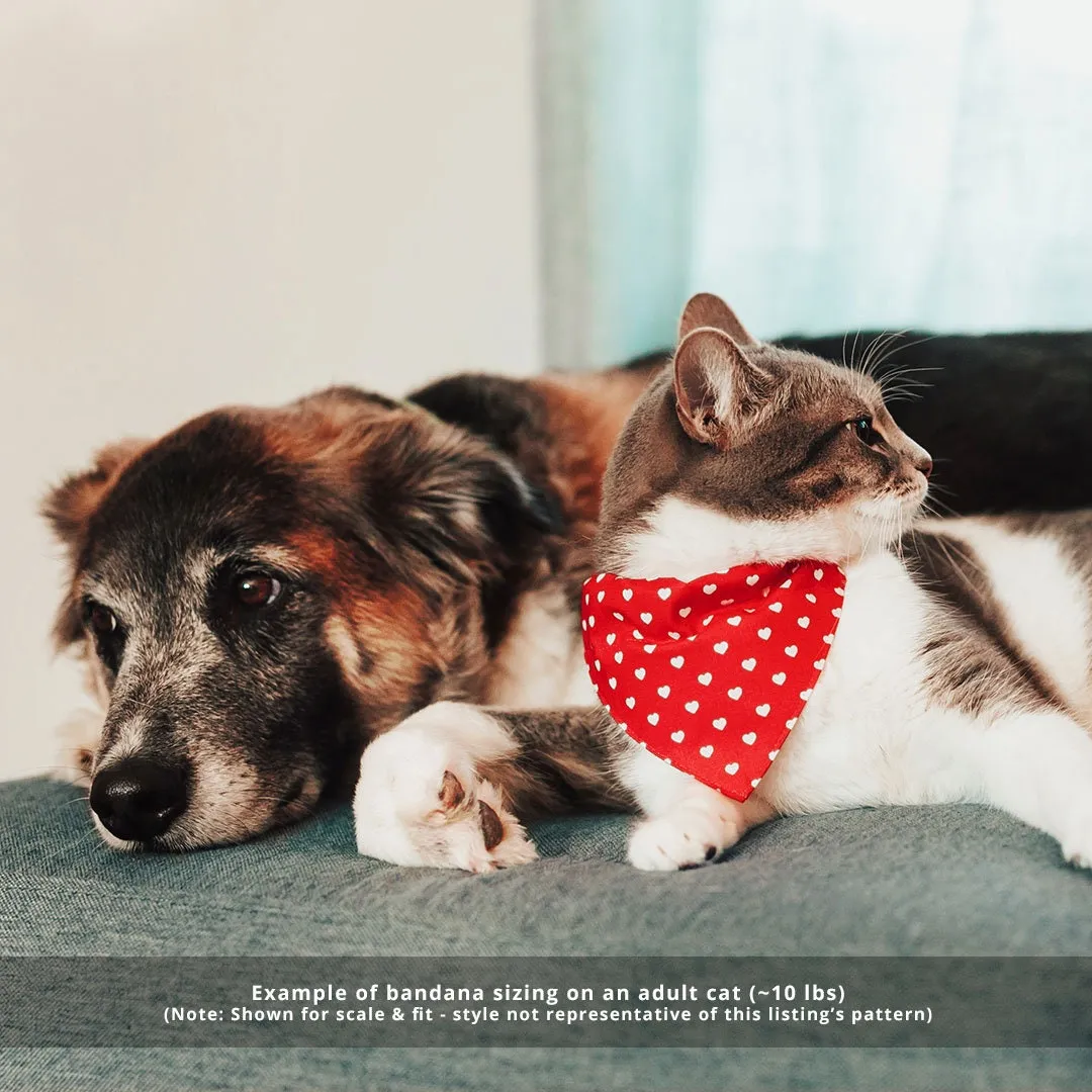 Pet Bandana - "Gourd Times" - Pumpkin Bandana for Cat   Small Dog / Fall, Thanksgiving, Harvest / Slide-on Bandana / Over-the-Collar (One Size)