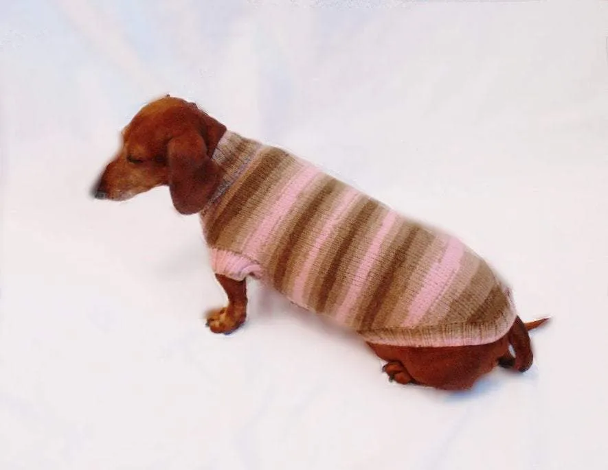 Pink striped knitted sweater for dachshund dogs, clothes for dachshund