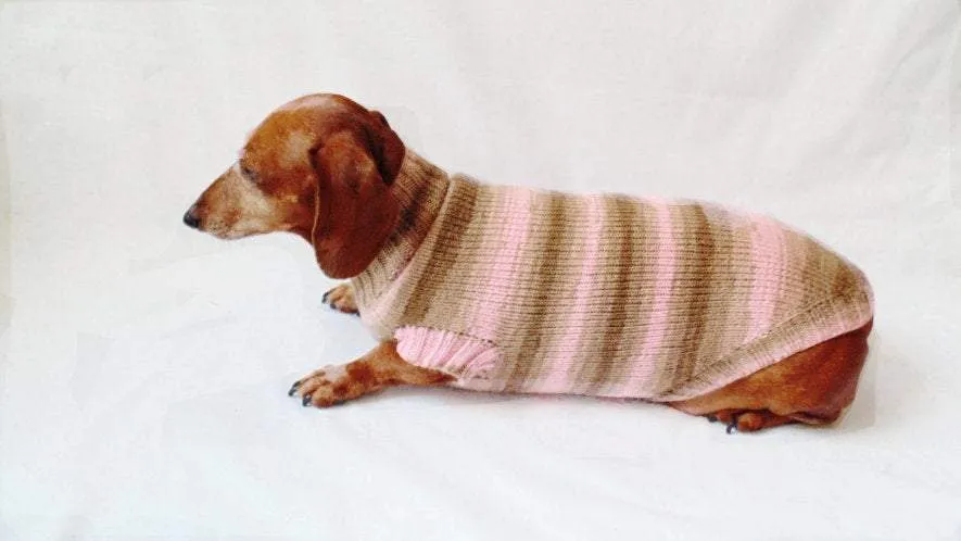 Pink striped knitted sweater for dachshund dogs, clothes for dachshund