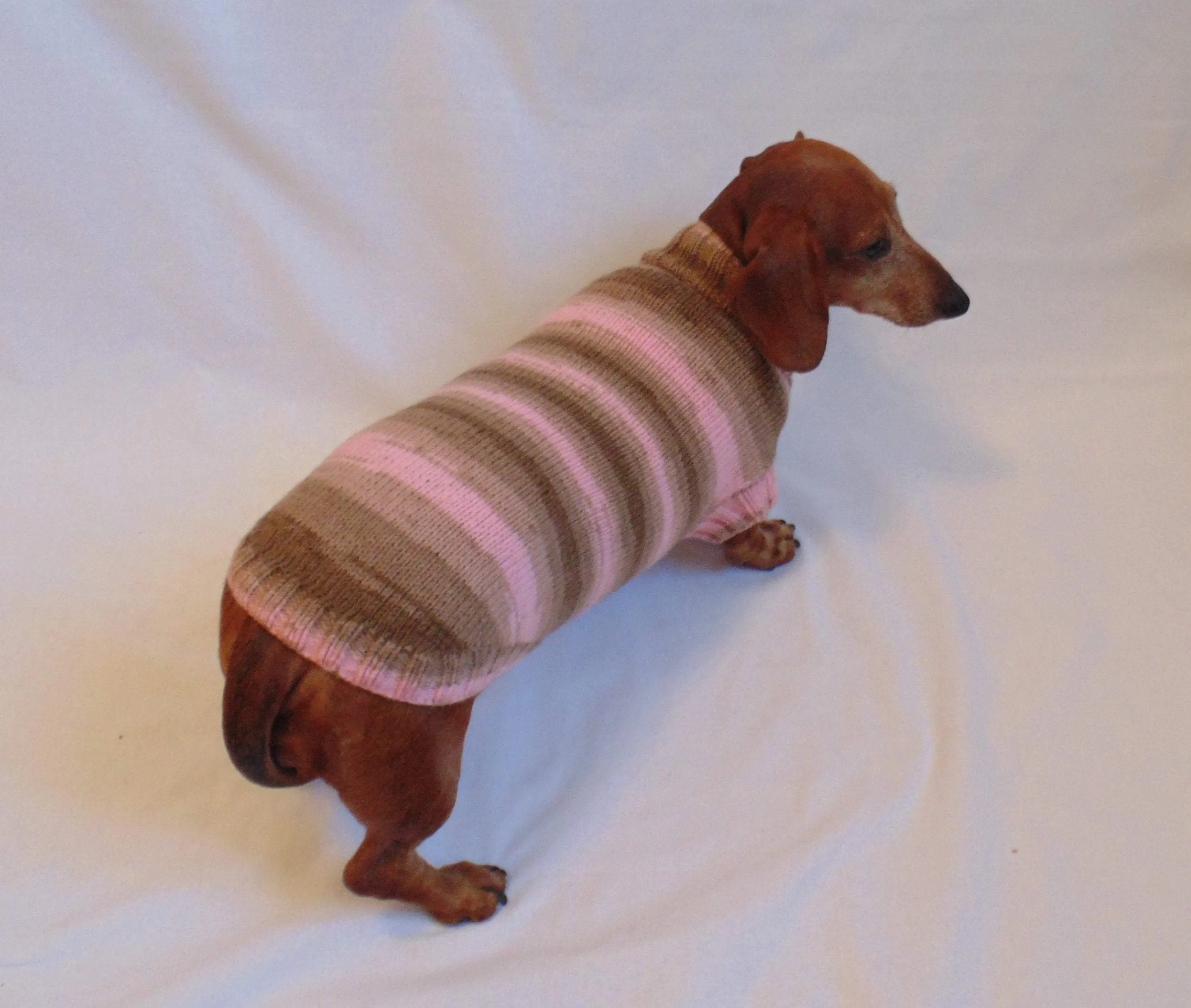 Pink striped knitted sweater for dachshund dogs, clothes for dachshund