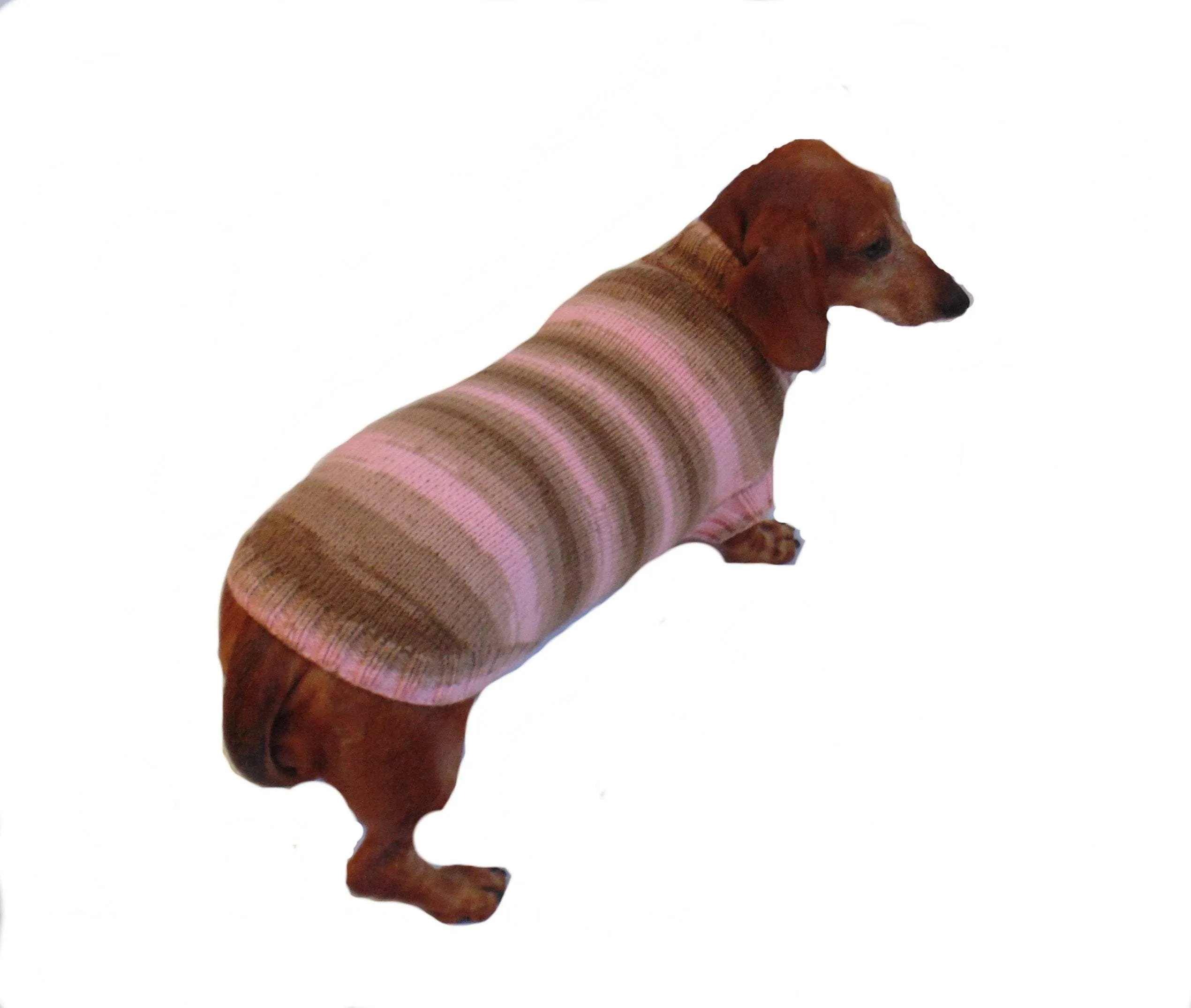 Pink striped knitted sweater for dachshund dogs, clothes for dachshund