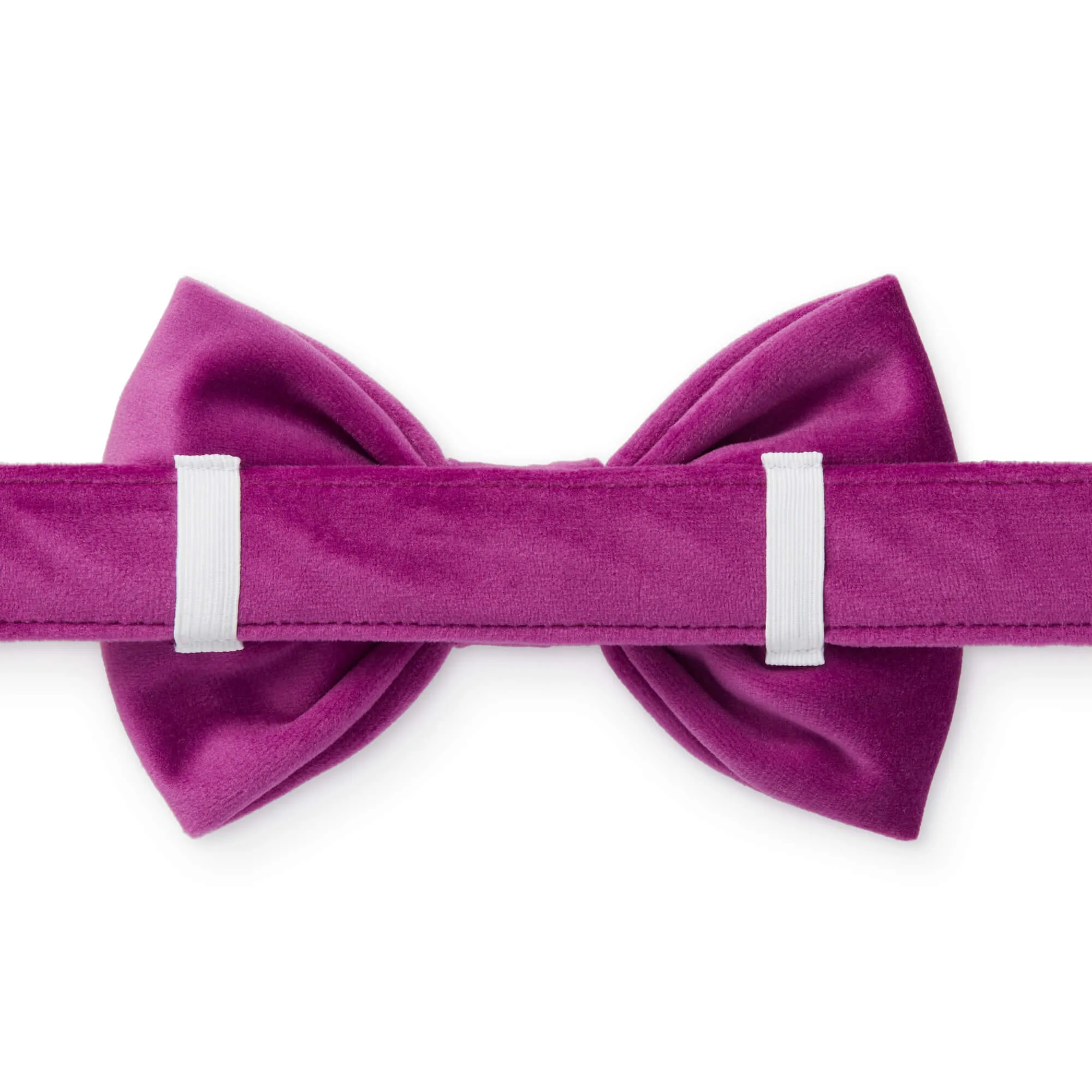 Plum Velvet Bow Tie Collar