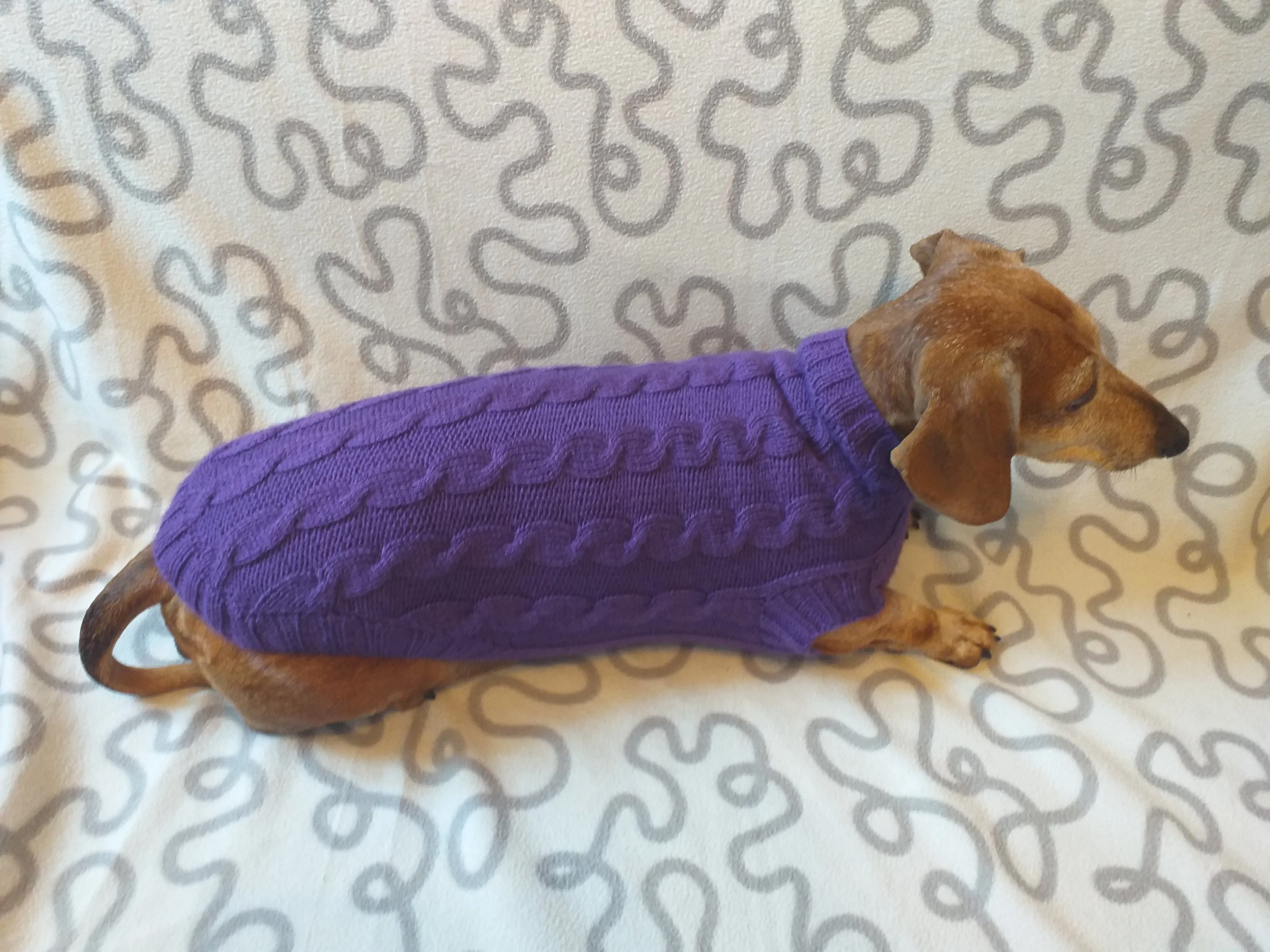 Purple knitted sweater for dogs, clothes for dachshunds, sweater for dogs, clothes for dogs, sweater for small dogs, dachshund sweater