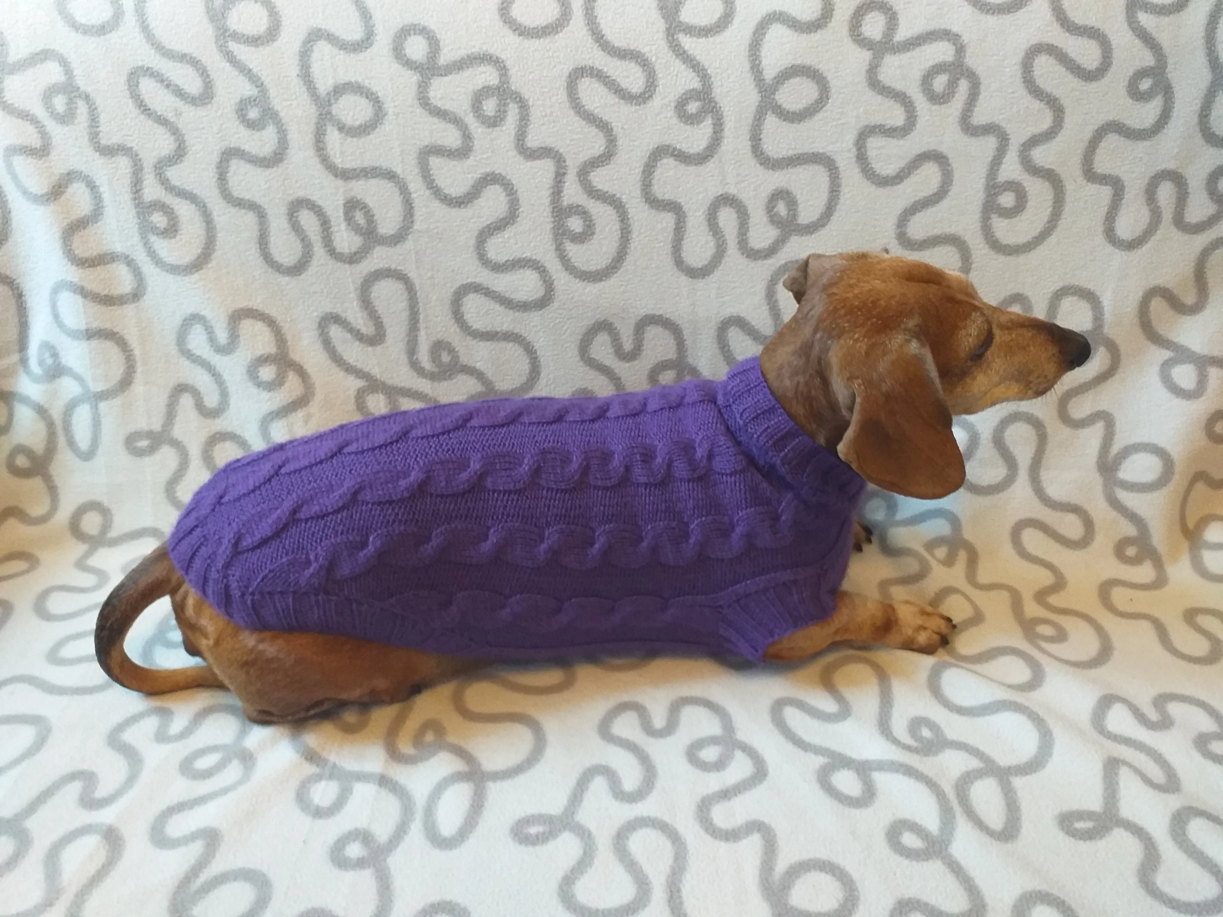 Purple knitted sweater for dogs, clothes for dachshunds, sweater for dogs, clothes for dogs, sweater for small dogs, dachshund sweater