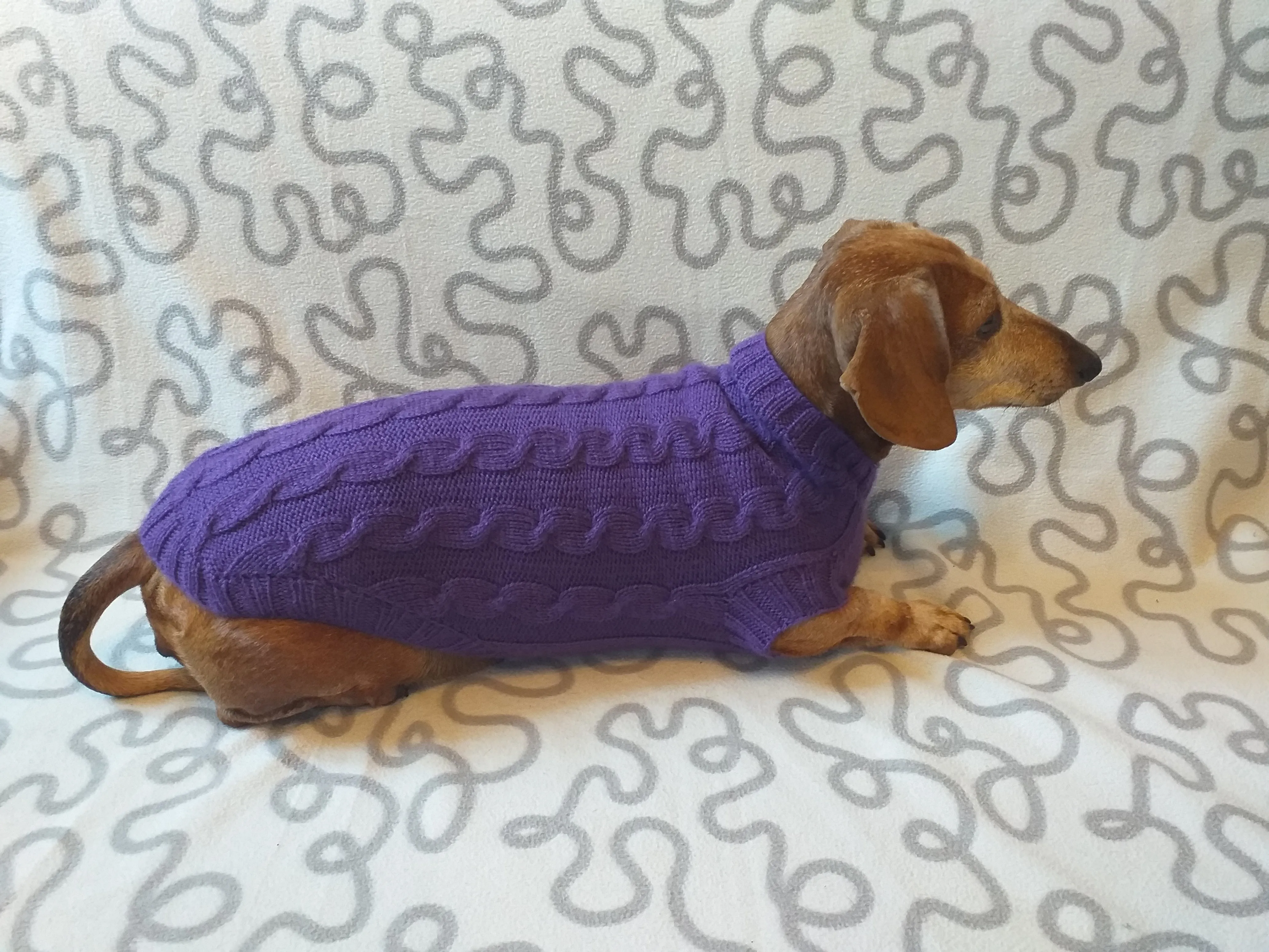 Purple knitted sweater for dogs, clothes for dachshunds, sweater for dogs, clothes for dogs, sweater for small dogs, dachshund sweater