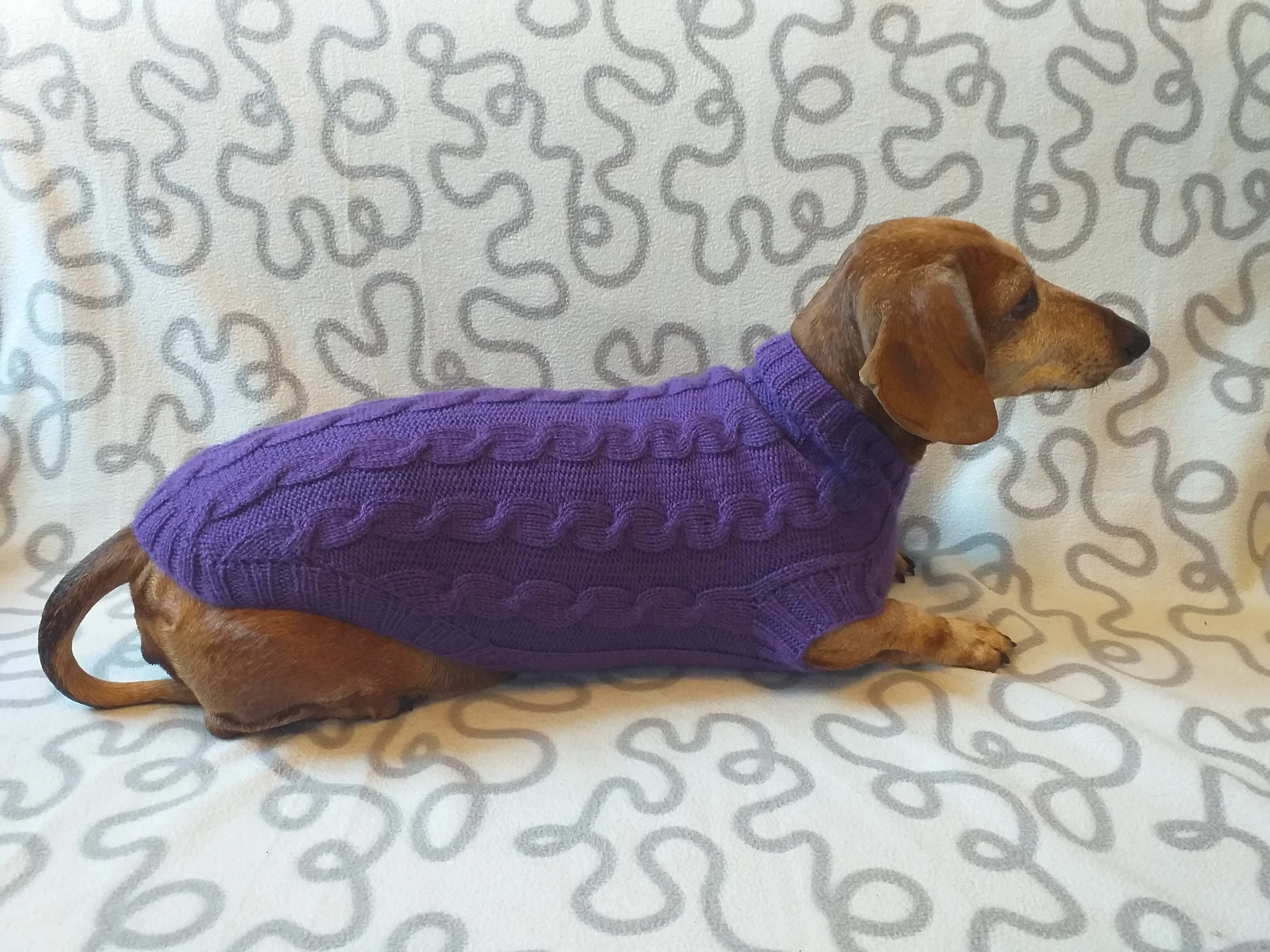 Purple knitted sweater for dogs, clothes for dachshunds, sweater for dogs, clothes for dogs, sweater for small dogs, dachshund sweater