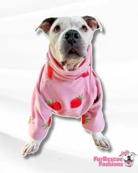 StrawBerry Bliss Dog Pullover (Made to order)