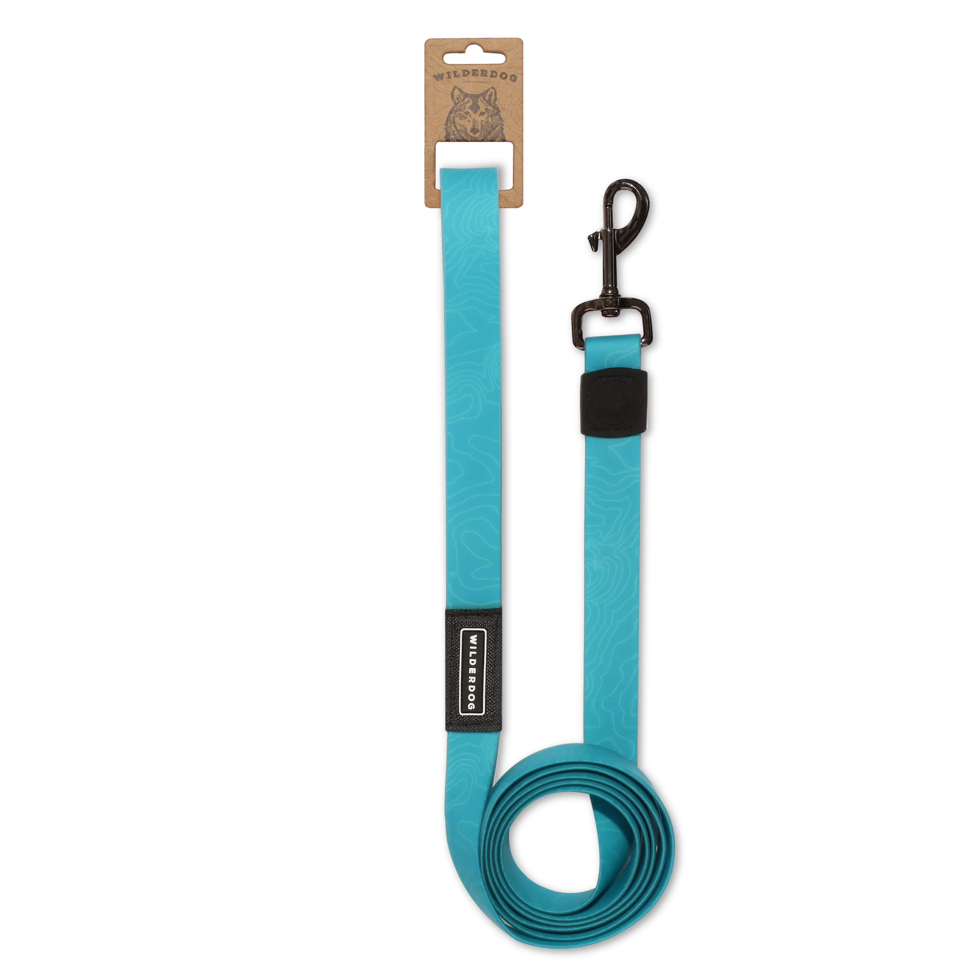 Teal Waterproof Leash